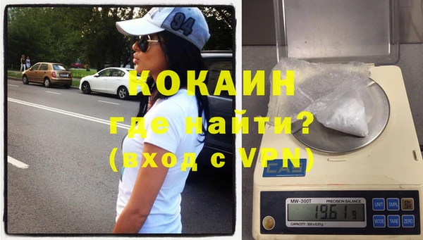прущие грибы Балахна
