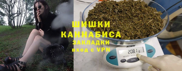 прущие грибы Балахна