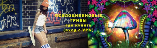 прущие грибы Балахна