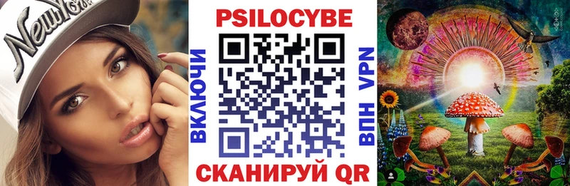 kraken зеркало  цена наркотик  Пятигорск  Псилоцибиновые грибы Psilocybe 