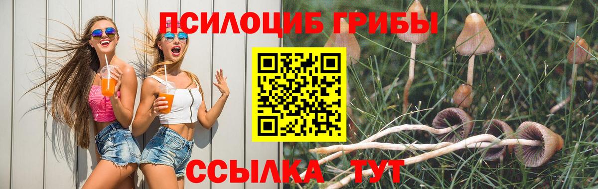 Галлюциногенные грибы прущие грибы  купить наркотик  Пятигорск  Псилоцибиновые грибы мухоморы  Вход с VPN 