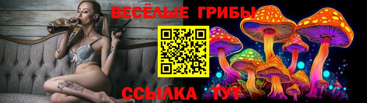 Псилоцибиновые грибы мухоморы Пятигорск